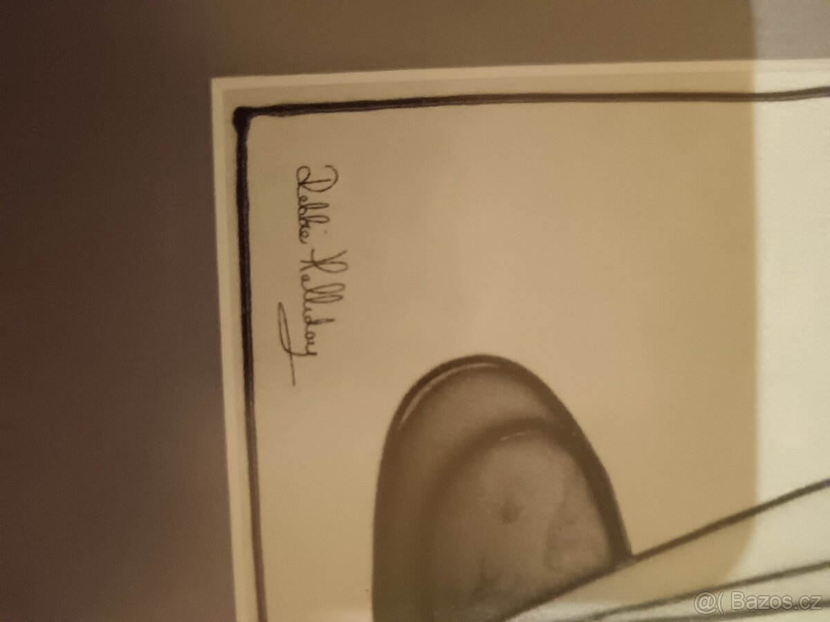 ZLEVNĚNO -2ks obrazu - 5