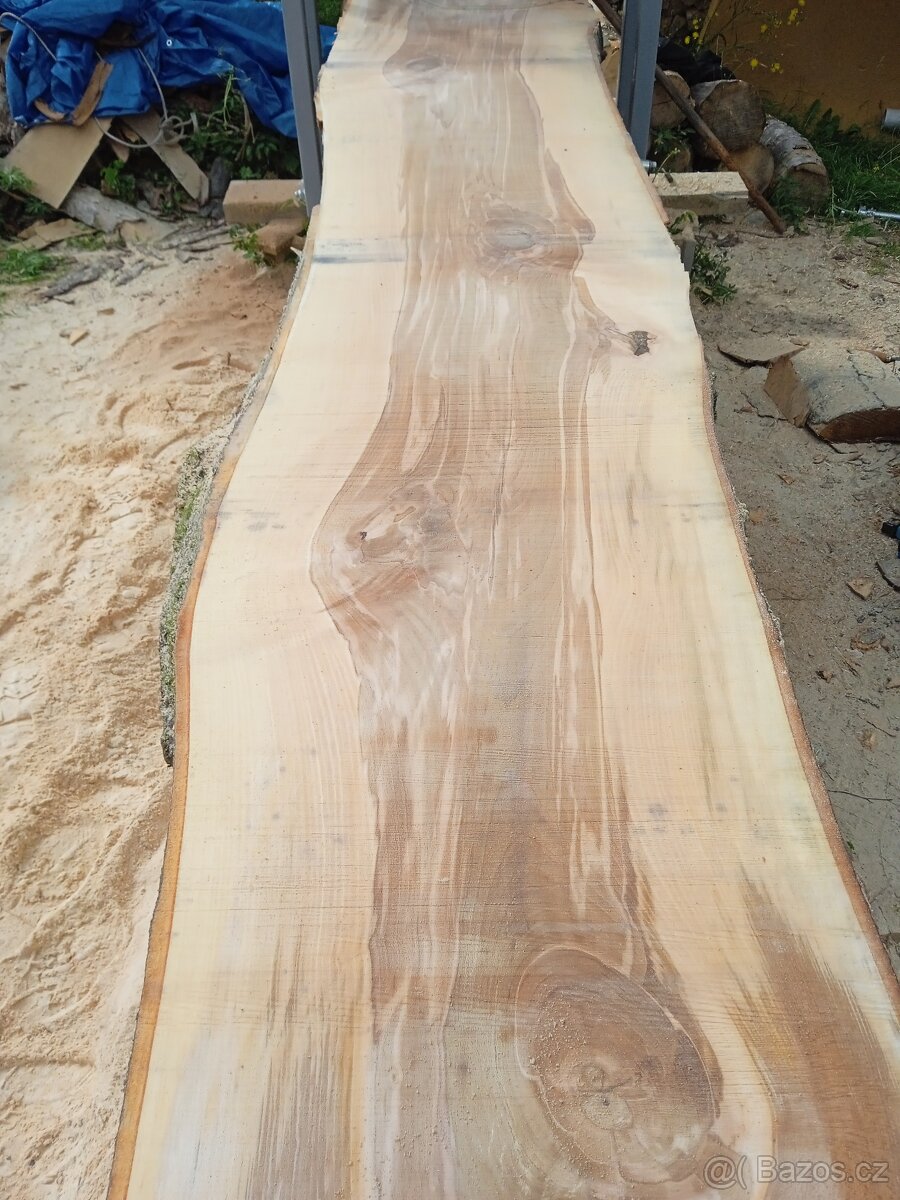 Fošny dub,buk,javor 60 mm. - 5