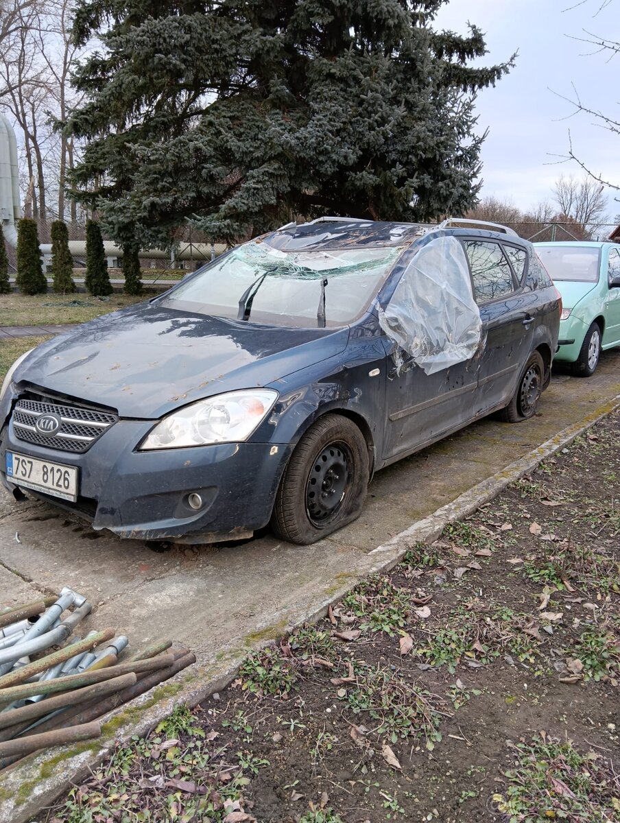 KIA CEED 1.6 CRDI 84 KW - 5