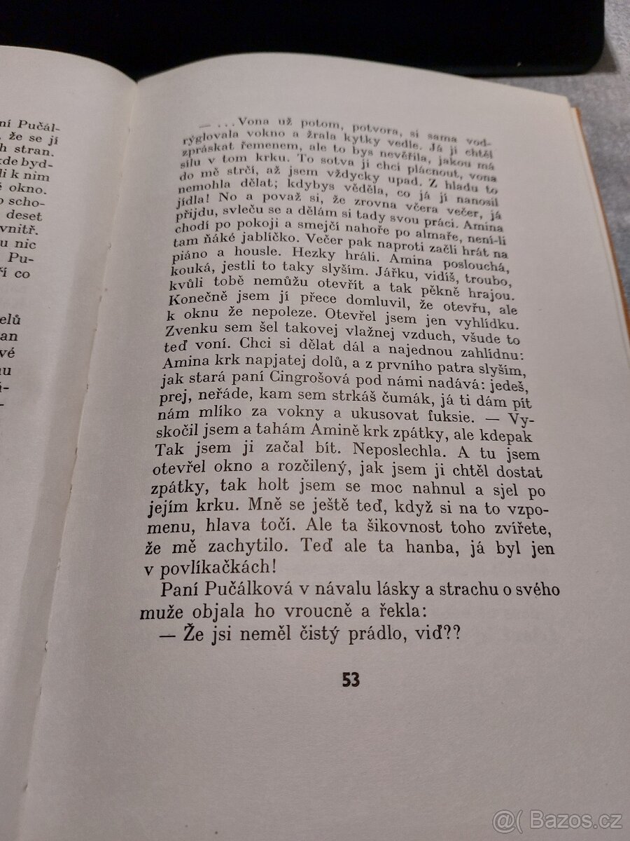 Jindřich Plachta - Pučálkovic Amina (1969) - 5