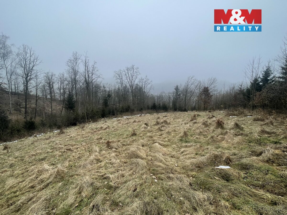 Prodej, les, 33054 m2, Košťálov - 5