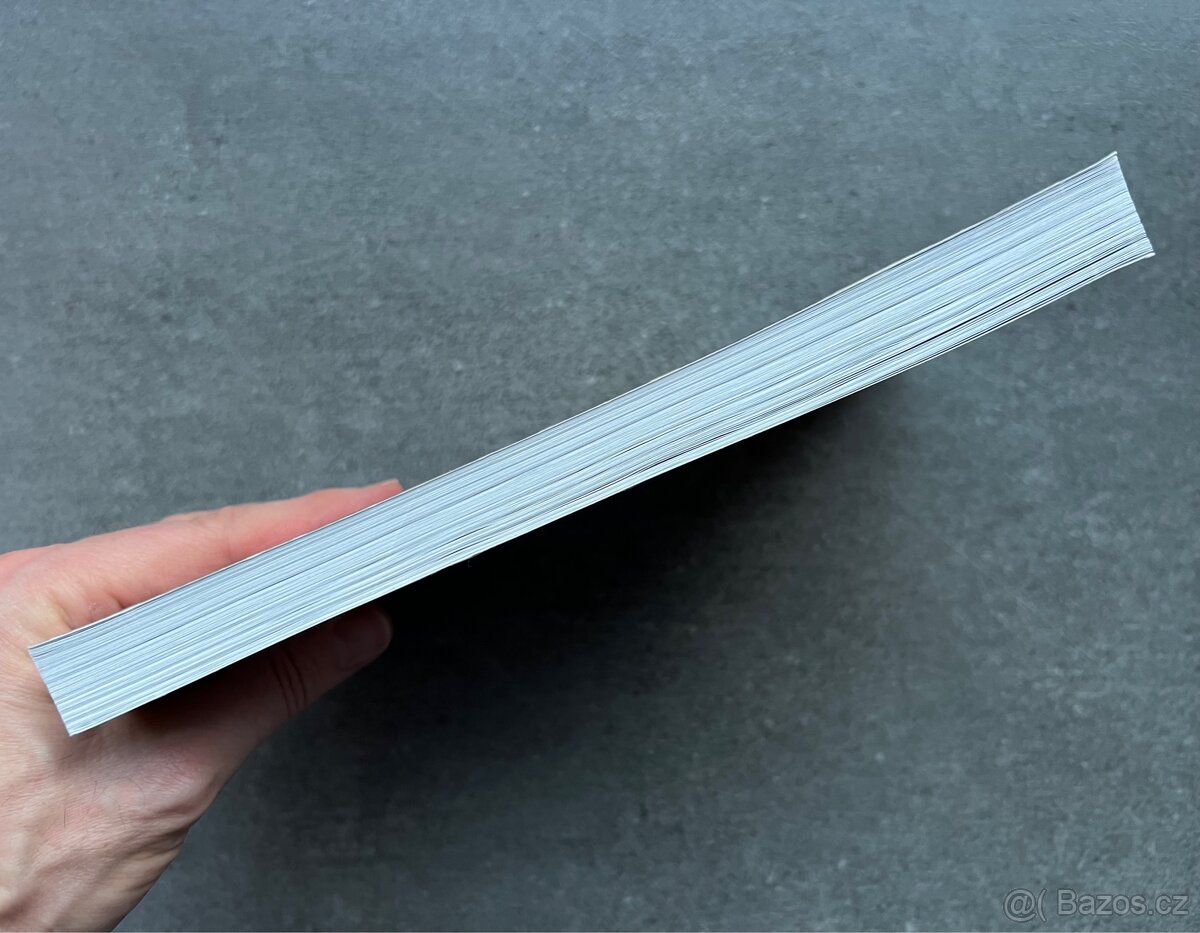 VÁLKA A CHTÍČ, SEX A AMERIČTÍ VOJÁCI - MARY LOUISE ROBERTS - 5