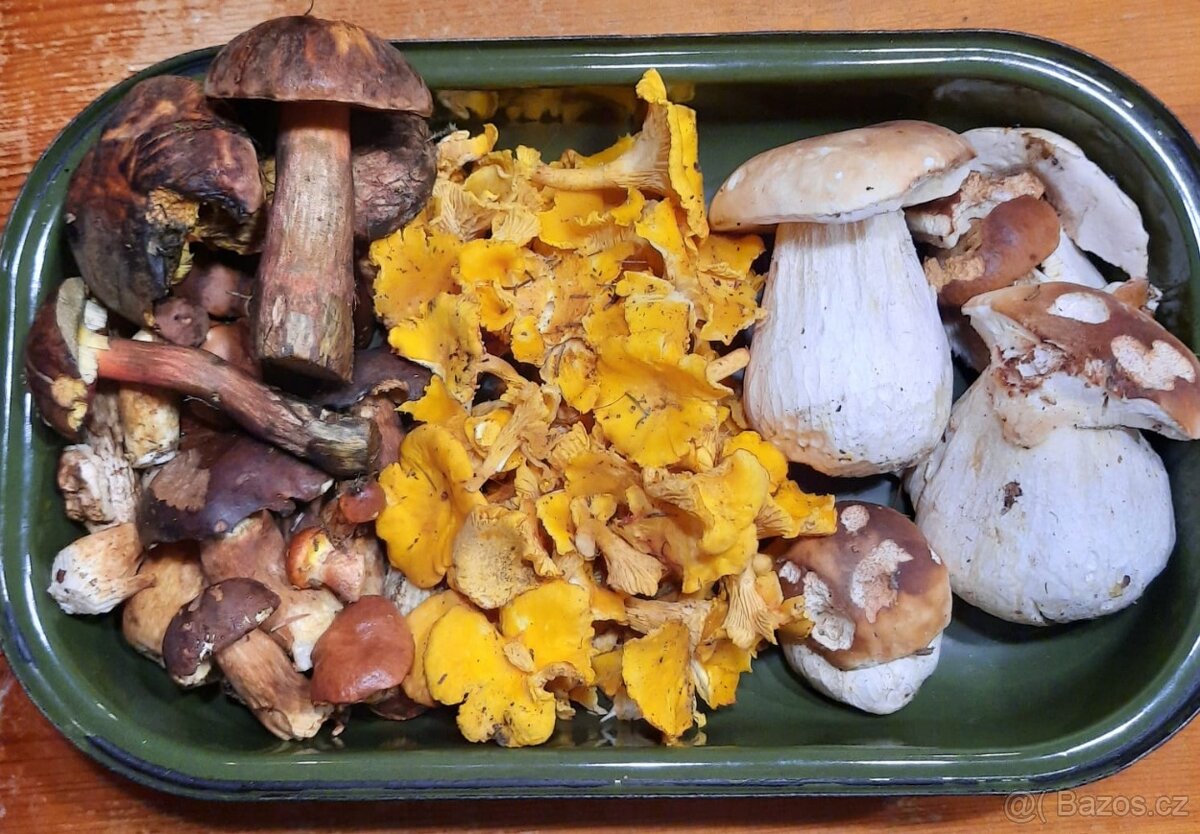 Sušené houby, hřiby, mix - 5