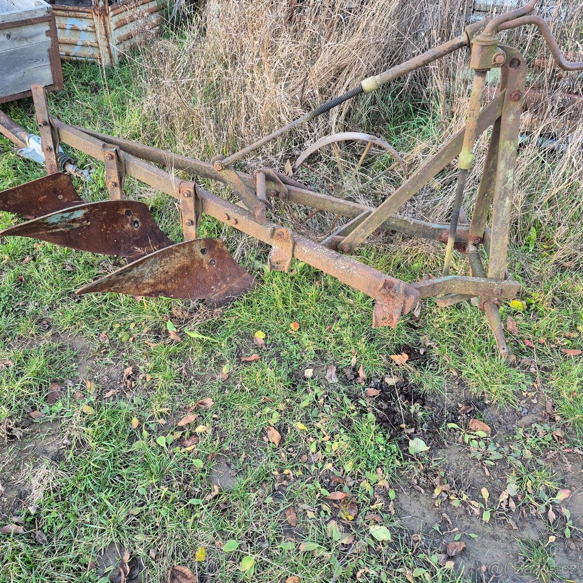 Pluh tříradličný - 5