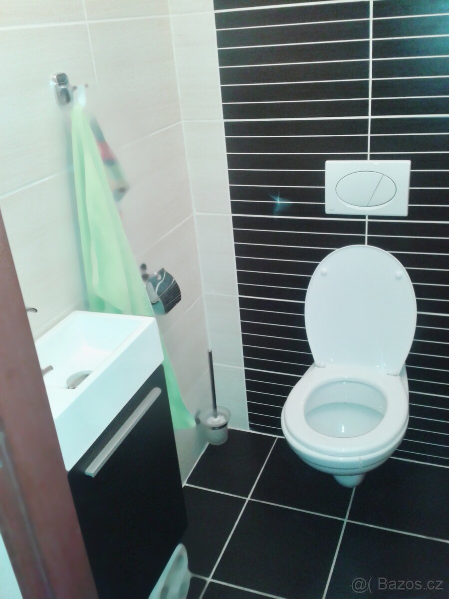 Rodinný dům / Bývalá hospodářská usedlost -1500 m2 - 5