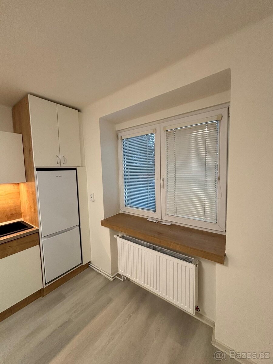 Pronájem bytu po rekonstrukci - 5