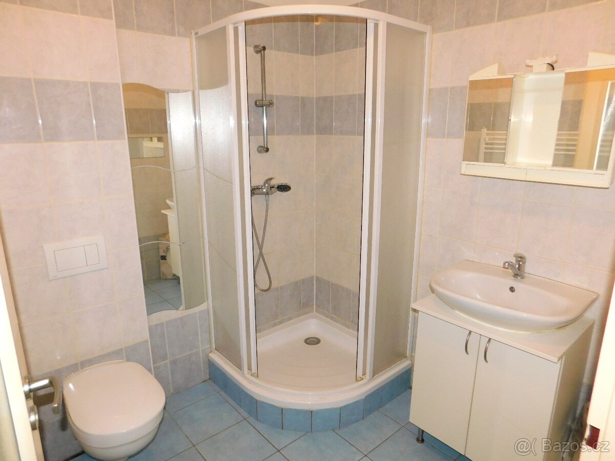 Pronájem 1+kk Poděbrady - 5