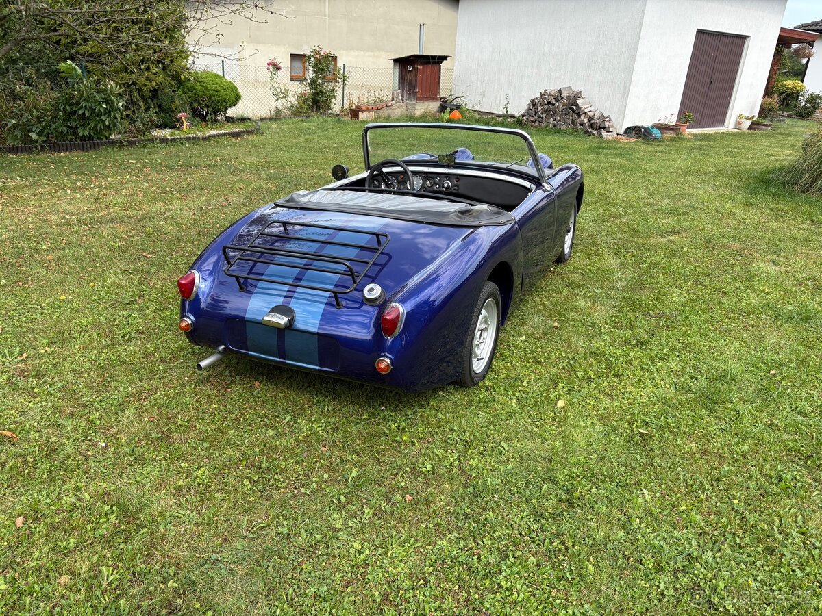 Austin healey froggy - 5