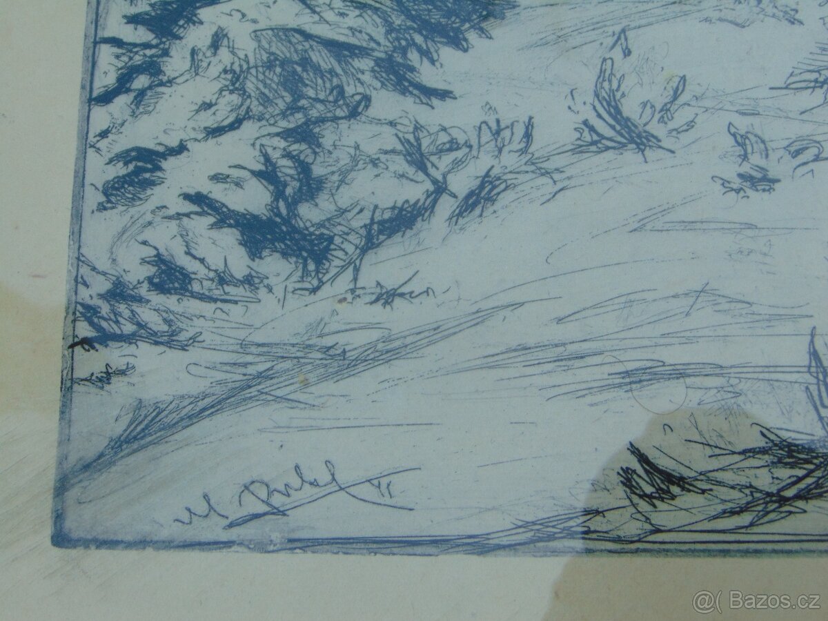 Obraz grafika V. Pukl - 5