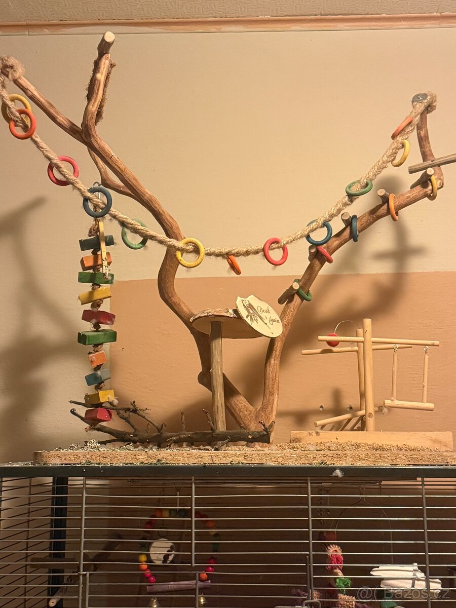 Klec pro papoušky - 5