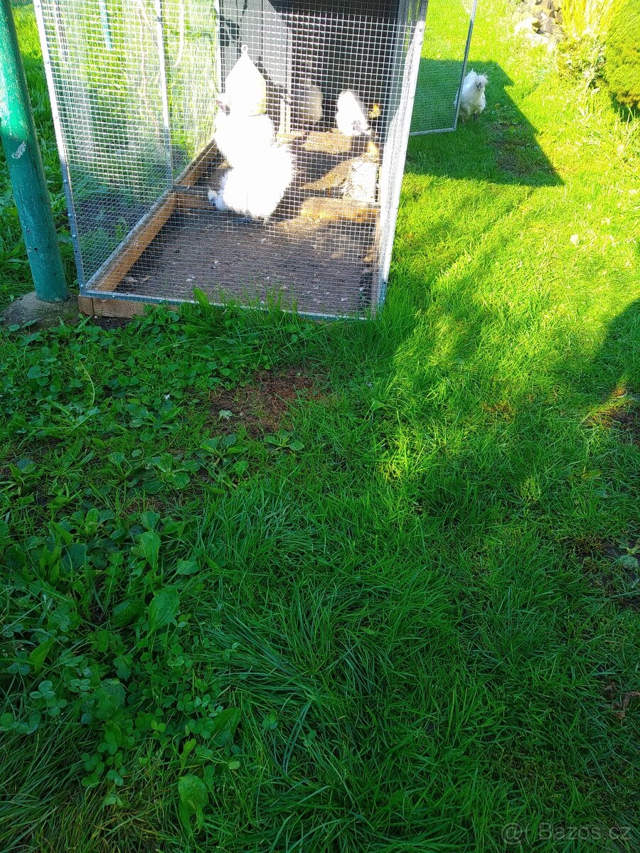 Klec pro kuřata s výběhem - 5