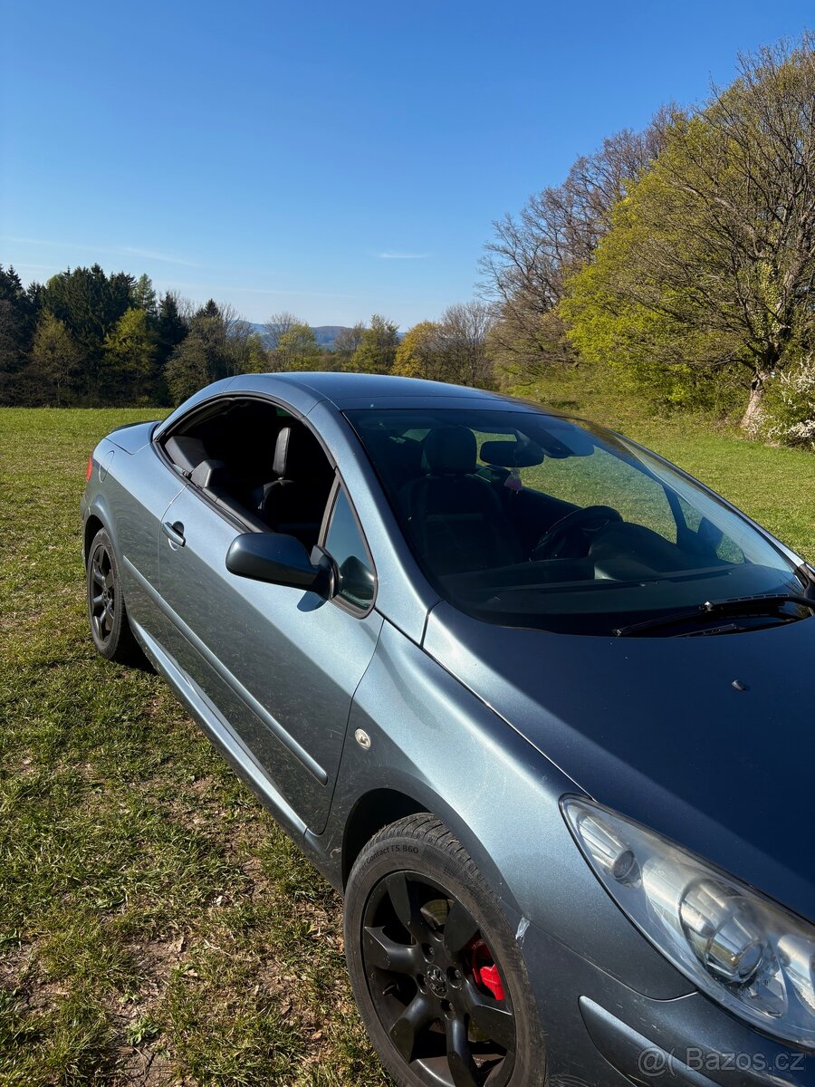 Peugeot 307 cc - 5