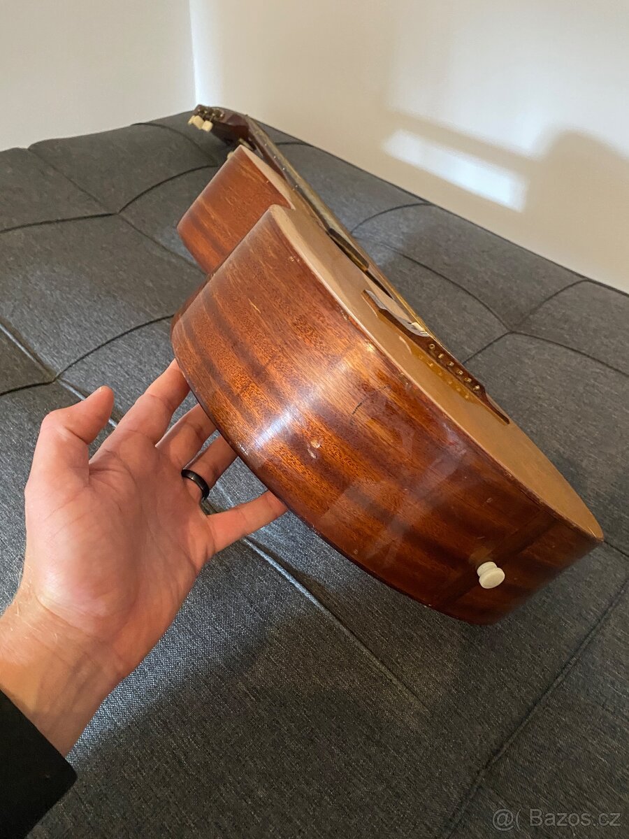Framus akustická kytara - 5