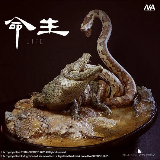 Queen Studios - Rock Python and Nile Crocodile - 5