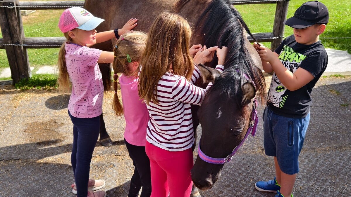 Krásná Grullo Klisna - 5