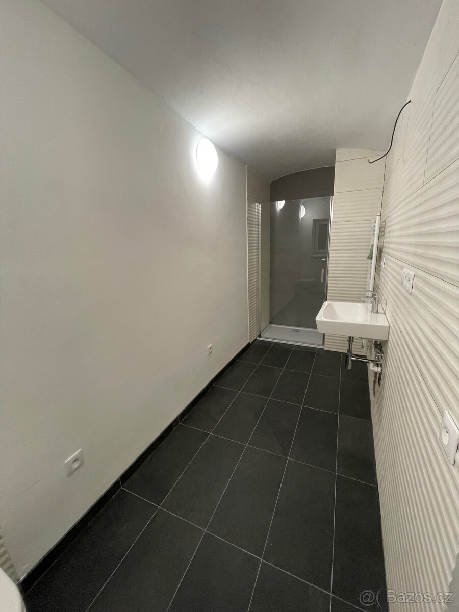 Pronájem - 5