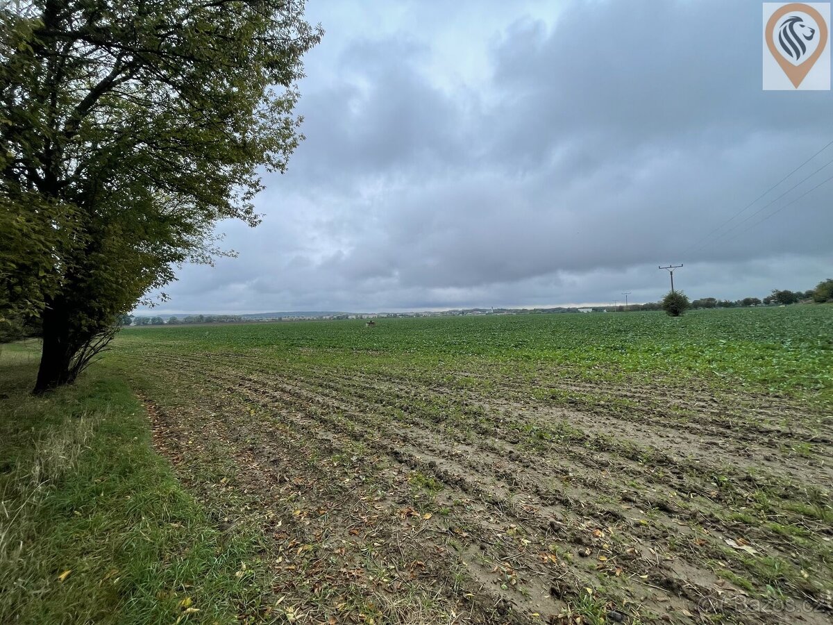 Prodej orné půdy o rozloze 7 001m2 - 5