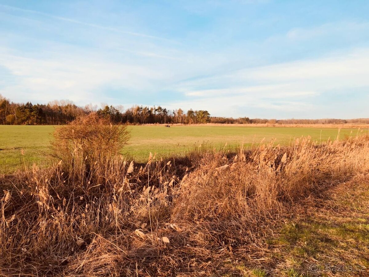 Nová Ponuka, 45 172 m² pri Levároch - 5