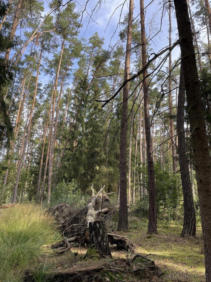 Prodám pozemky v k.ú. Drahov - 5