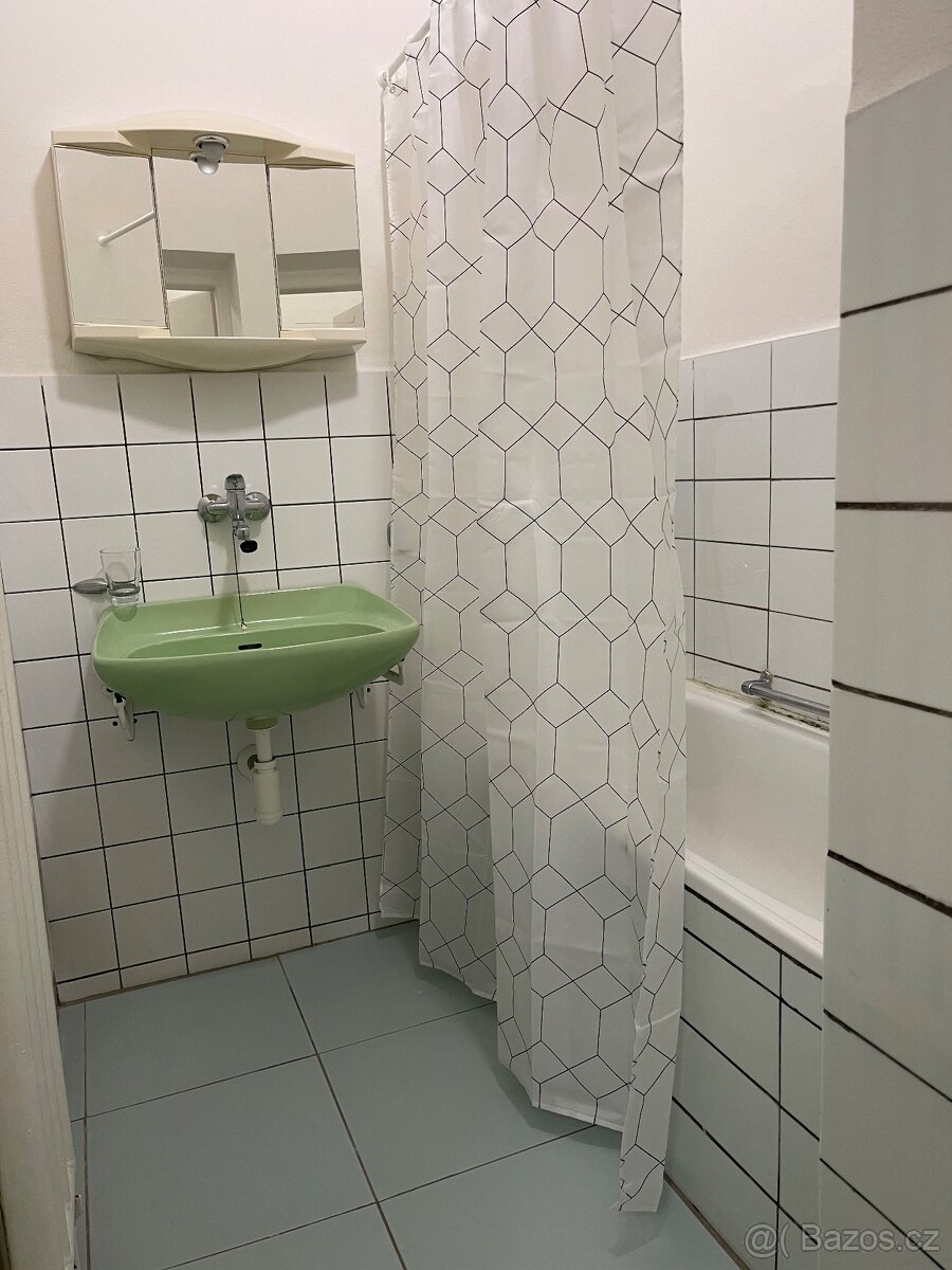 Byt k pronájmu 1+1 42 m2, ul.Krnovská - 5