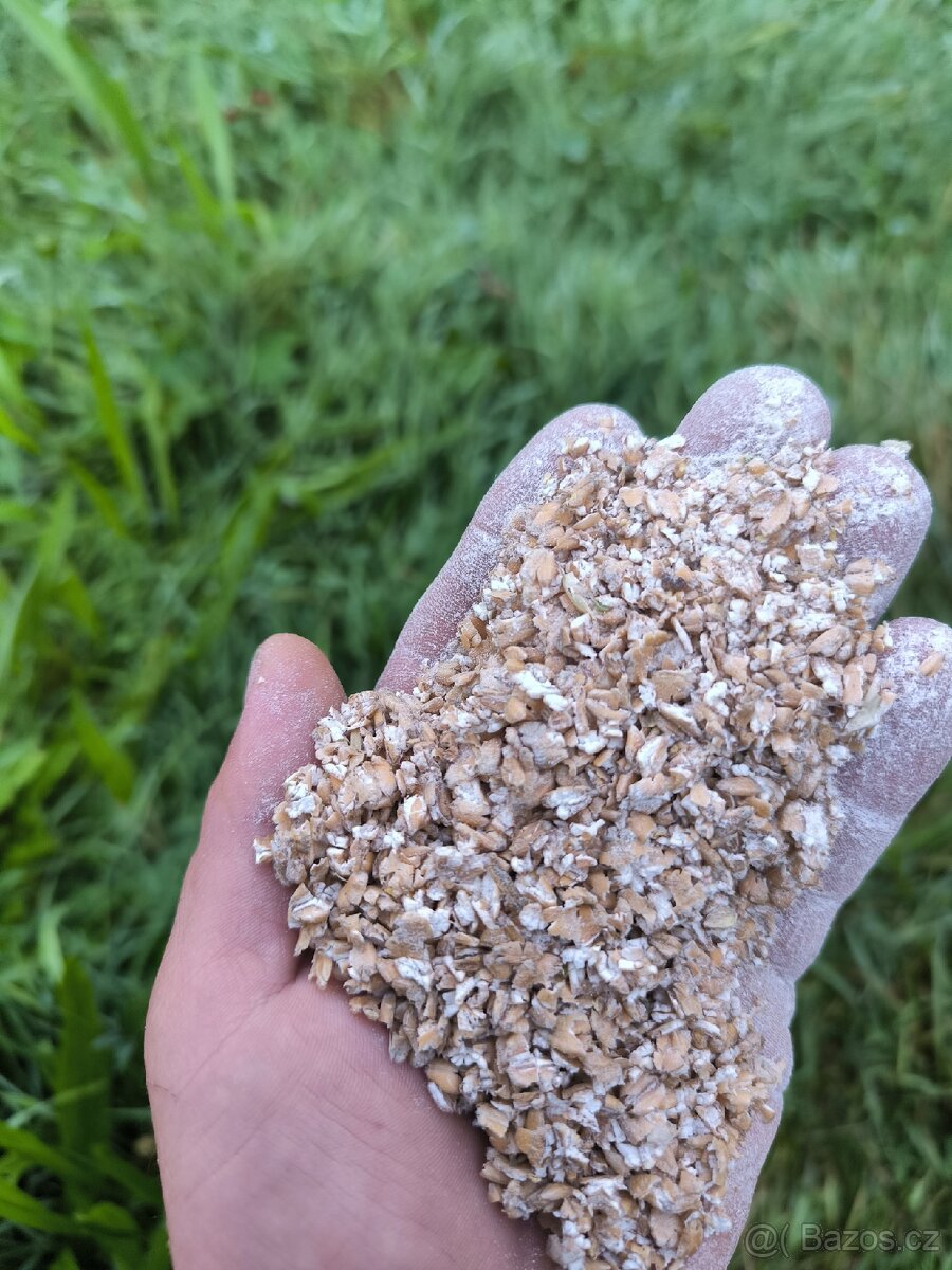 Domácí vejce z volnèho výběhu - 5