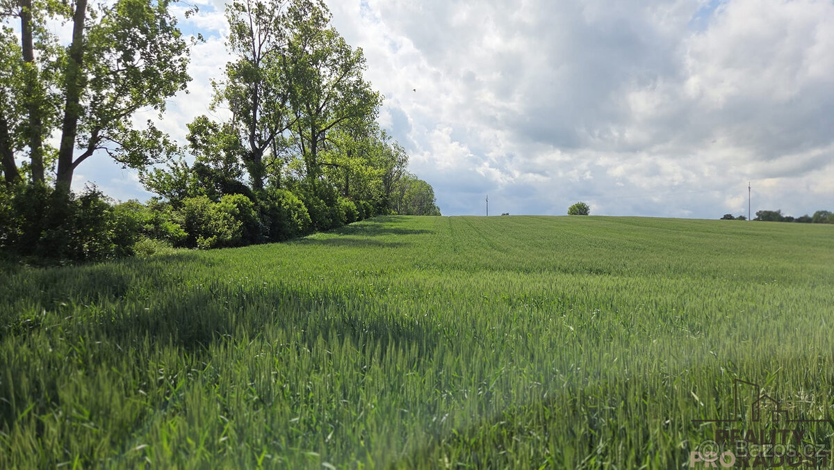 Prodej pozemků 2649 m2 v Kyjově - Nětčicích - 5