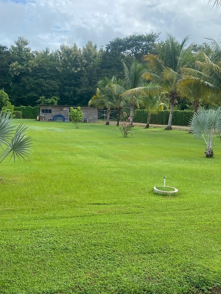 Dům s pozemkem Kostarika - 5