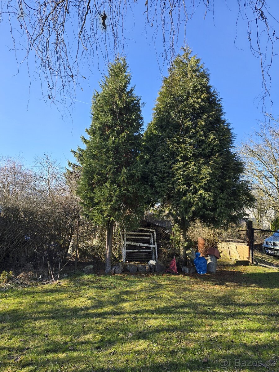 Zahrada s chatkou - 5