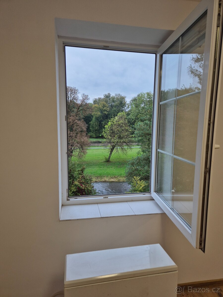 Pronájem bytu 1+kk, Kostelec nad Orlicí - 5