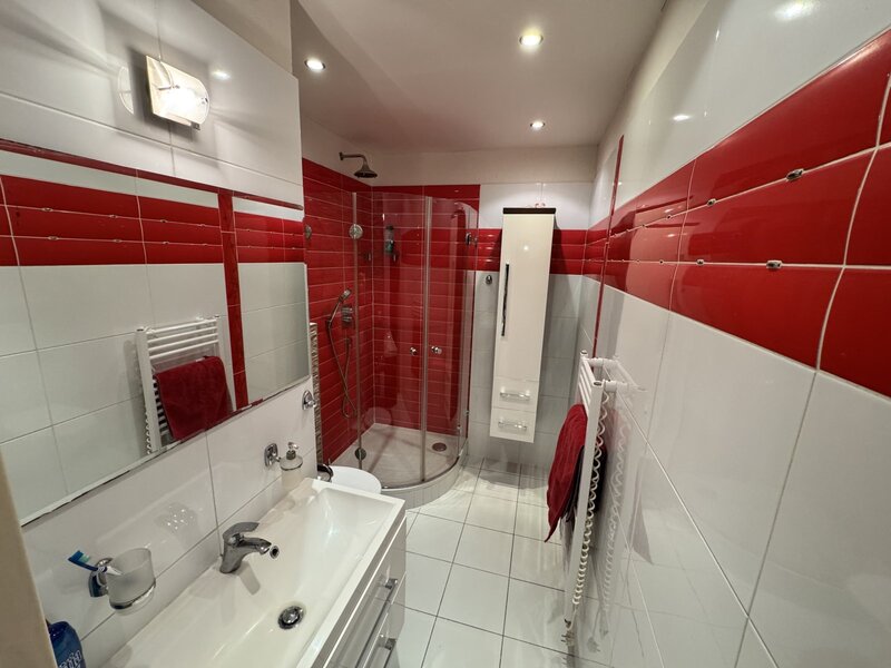 Pronájem bytu 2+1 s lodžií - Napajedla - 5