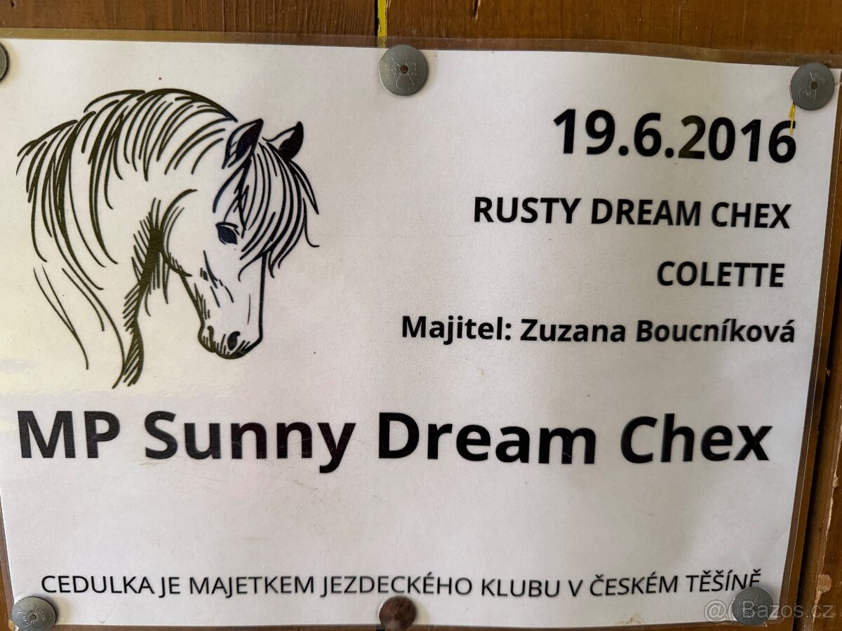 Klisna devítiletá - 5