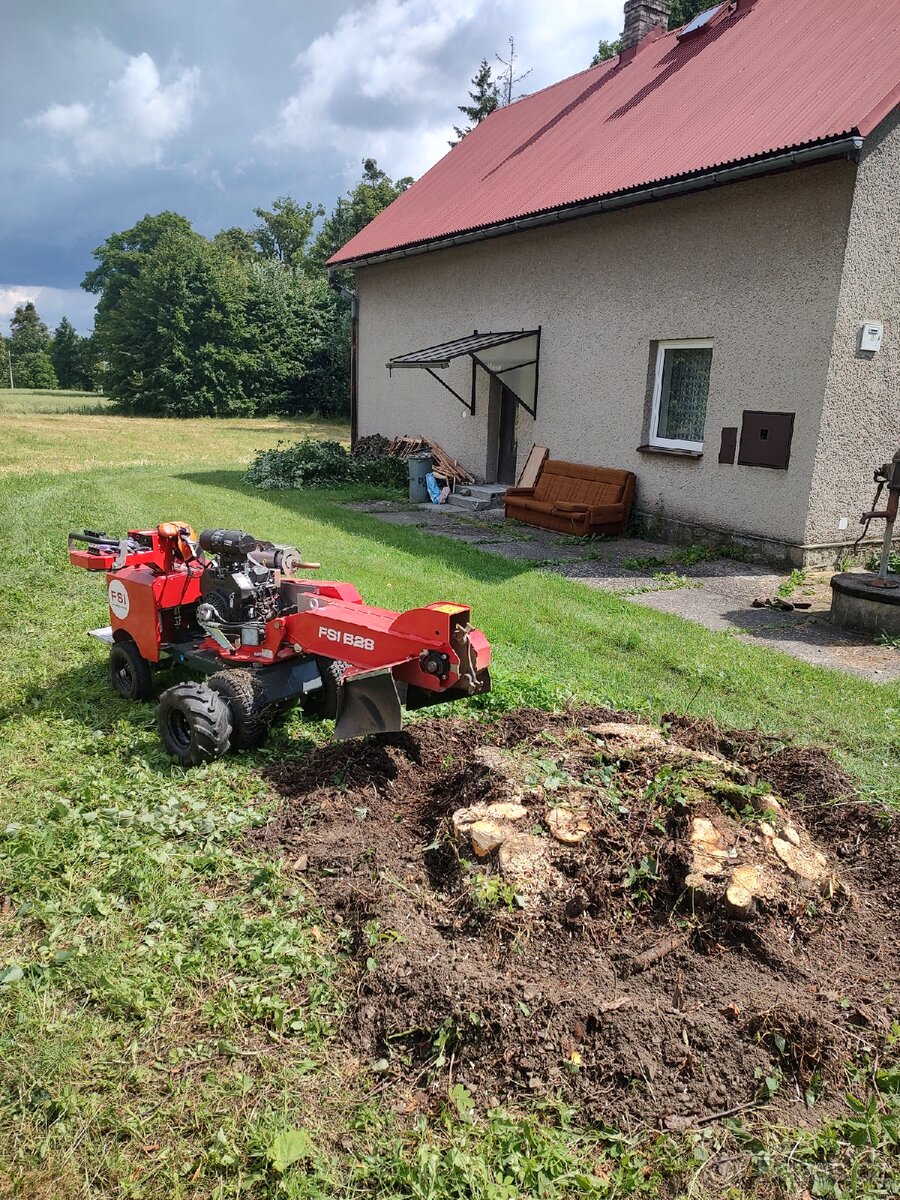 Bagr, zemní práce. pařezy - 5