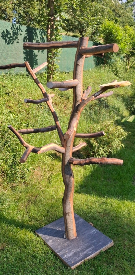 Nepoužitý strom pro velké papoušky - 5