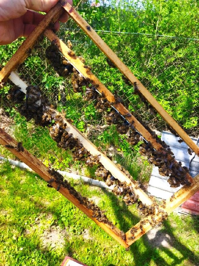 Vyzimované oddělky - 5