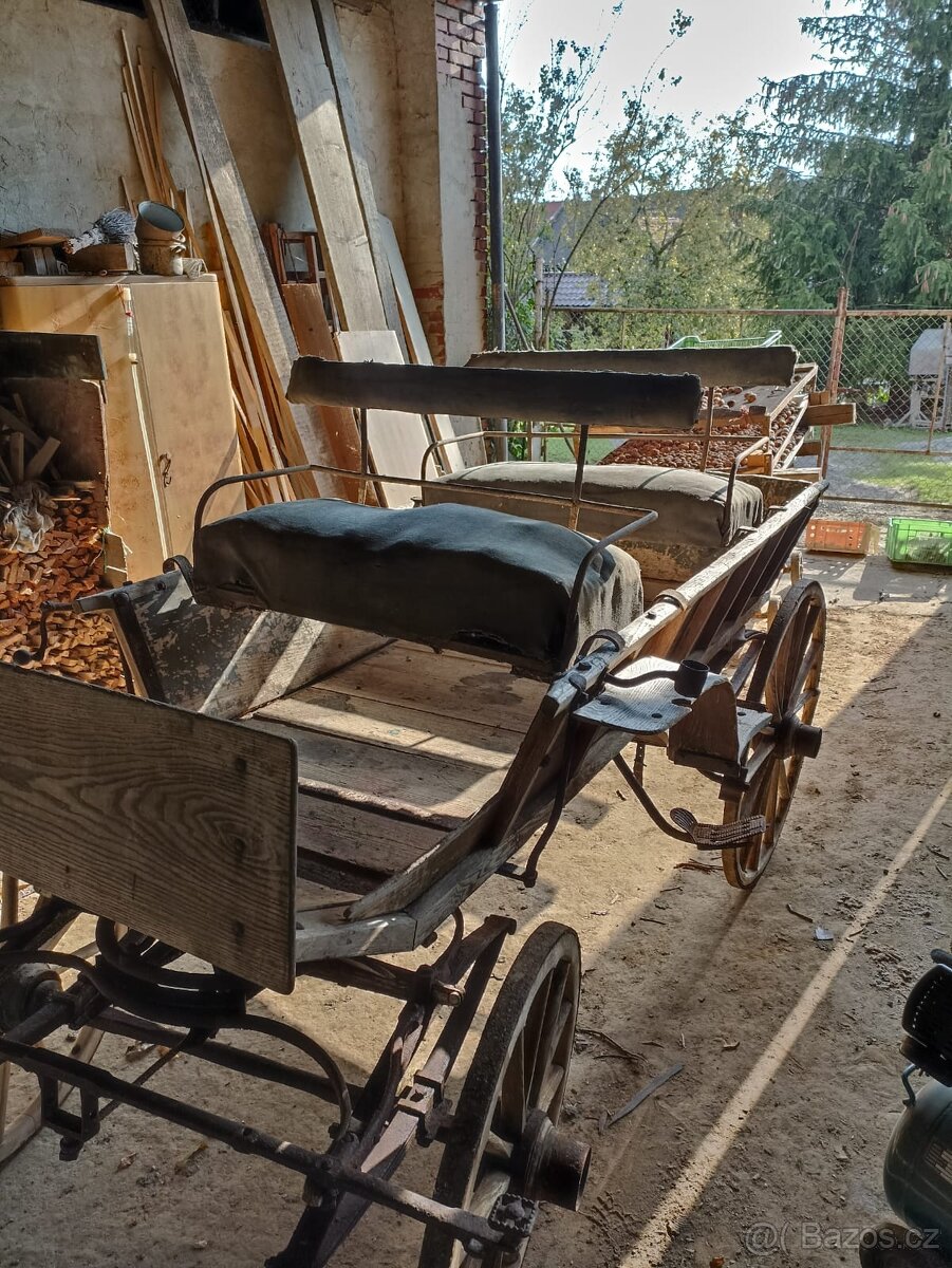 Koňská bryčka - 5