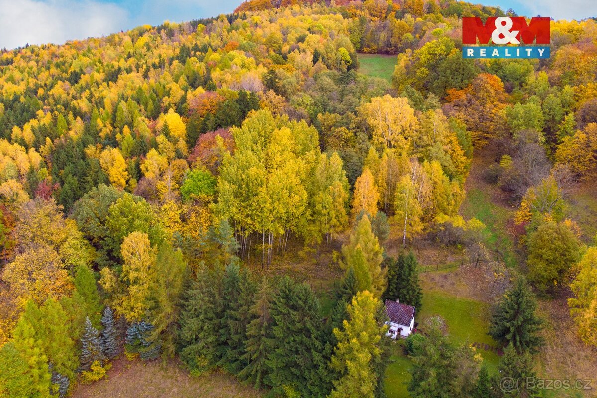 Prodej lesa, 3004 m², Skalice u České Lípy - 5