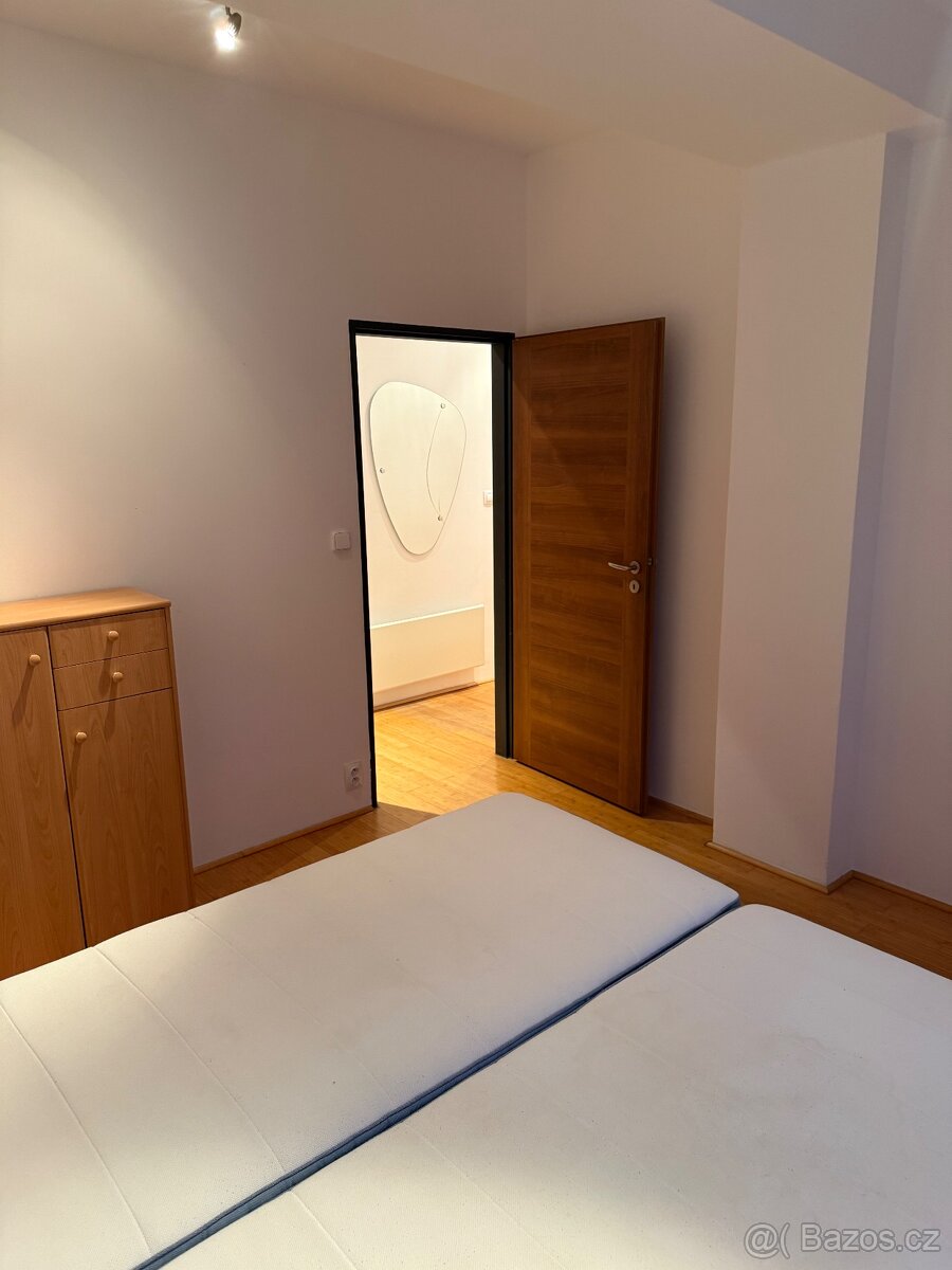 Byt Praha 3 Zerotinova ulice - 5