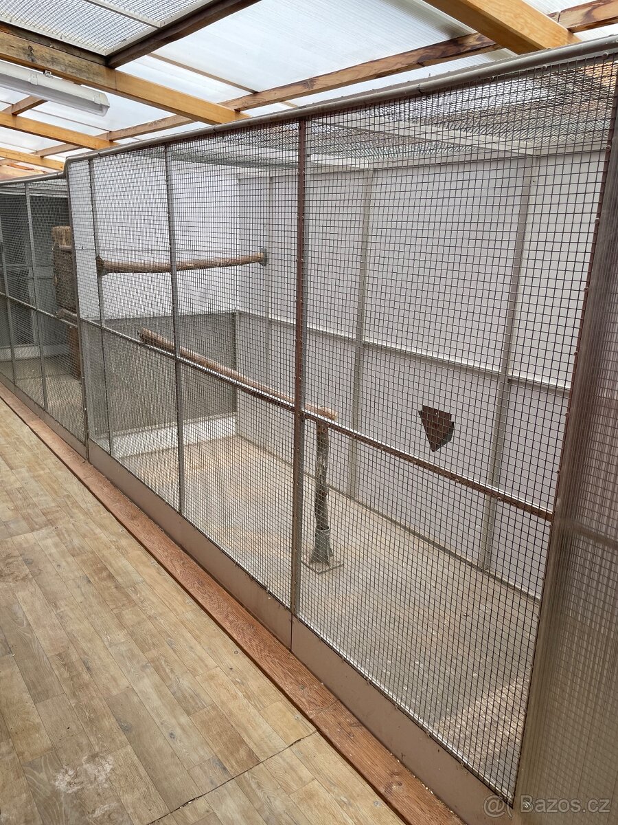 Klece,voliéry - 5