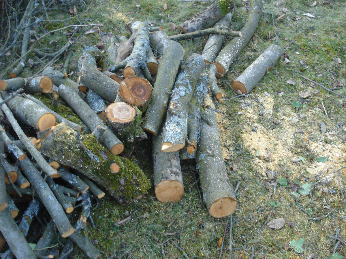 Dřevo na uzení - jabloň - 5