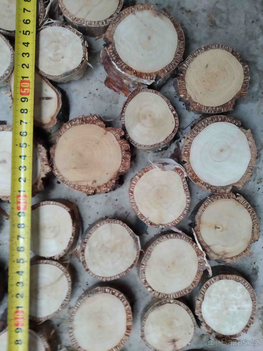 placky a kolečka z různého dřeva k vypalování,malování a pod - 5