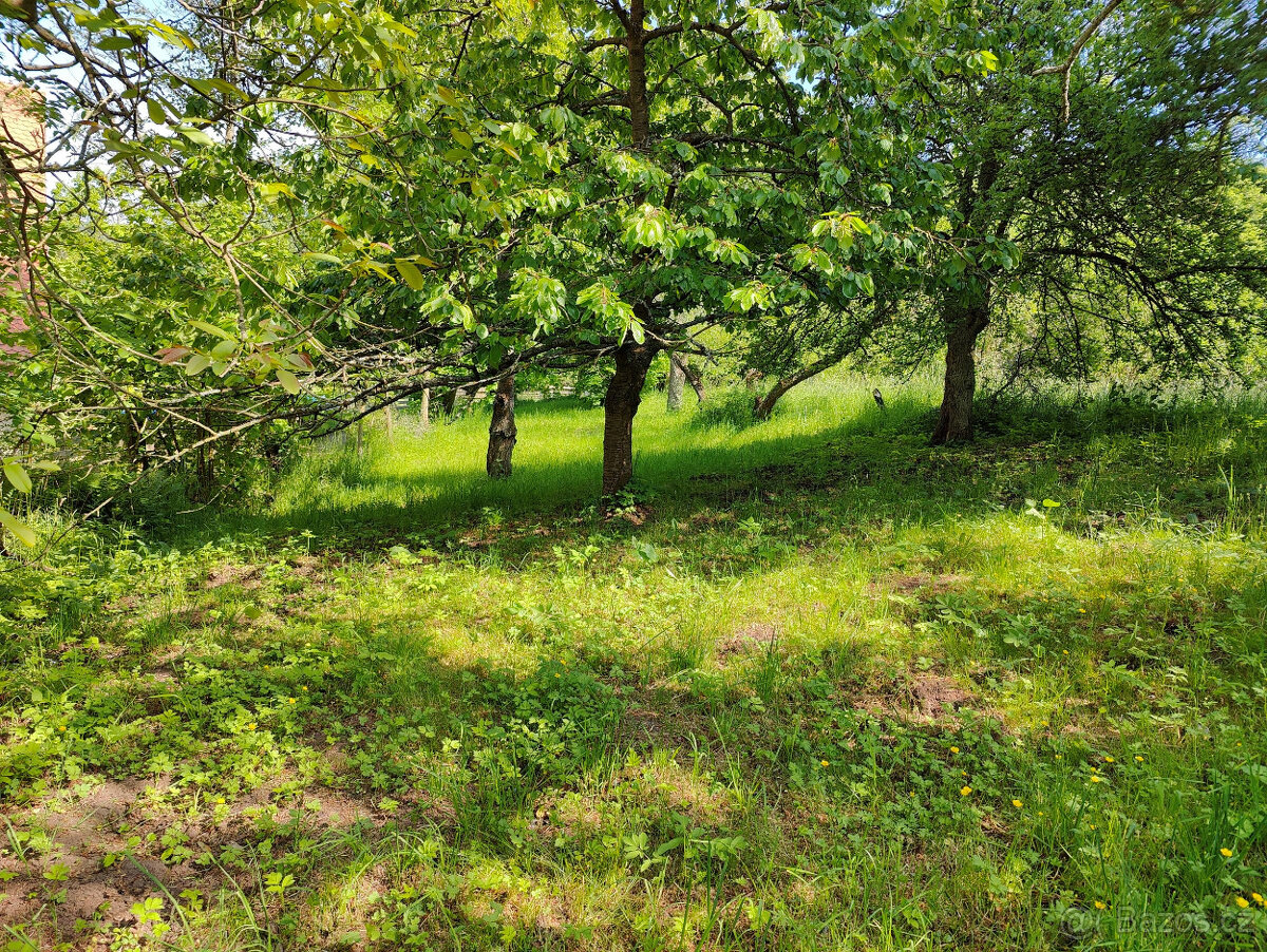 2x nemovitost - chalupa+stodola, 2x zahrady - 5