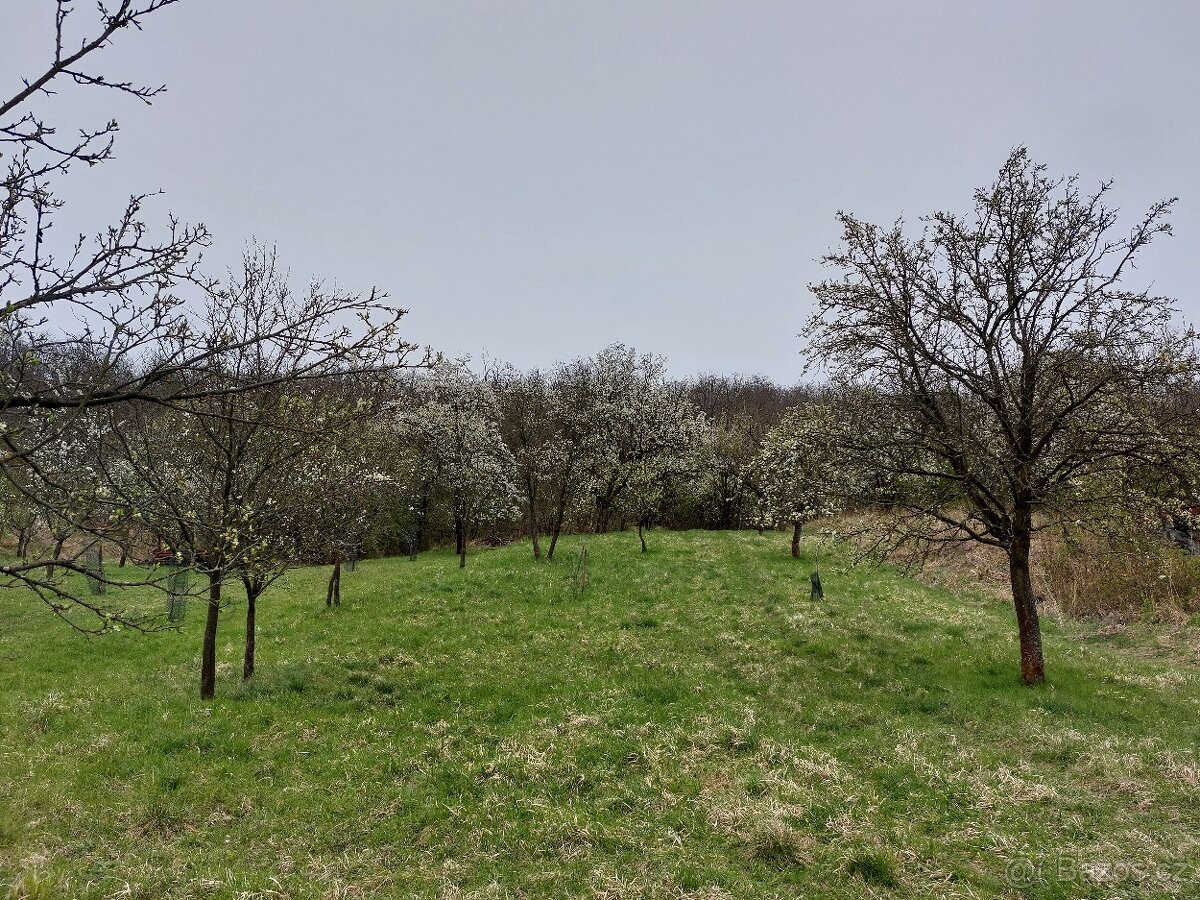 Pozemek s možností stavby chaty - 5