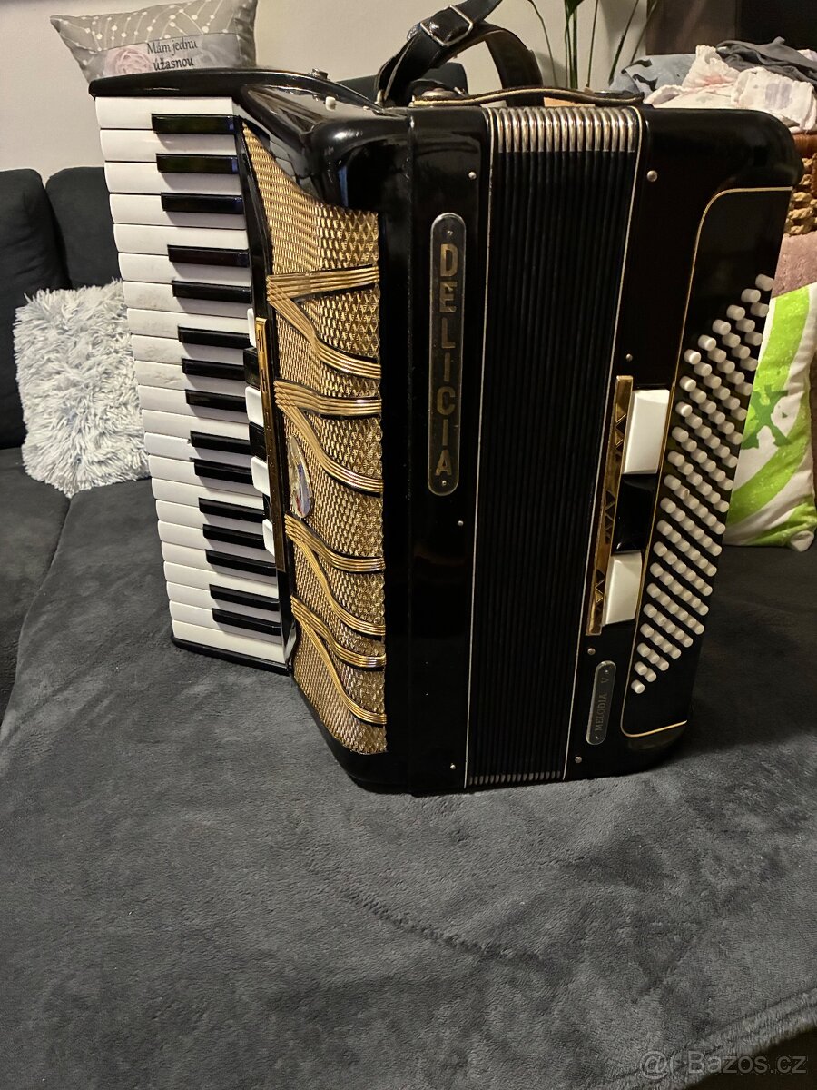 Harmonika Delicia Lignatone - 5