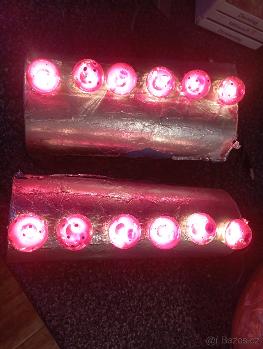 Muchomůrky vánoční - 5