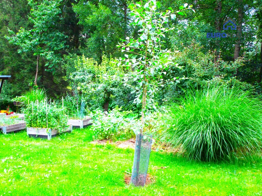 Prodej, zahrada 615 m2 s chatkou, obec Běšiny u Klatov - 5