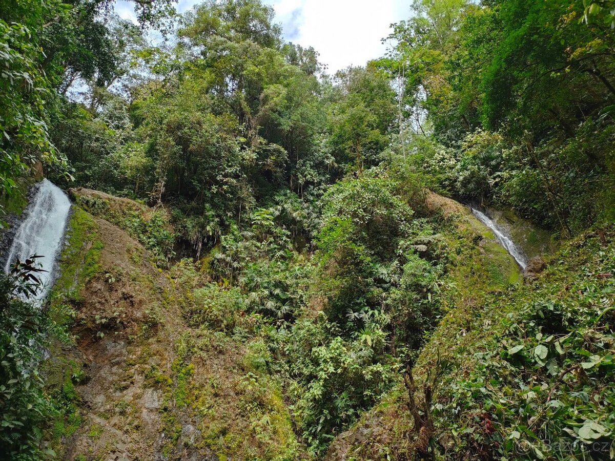 Farma Kostarika Golfito - 5