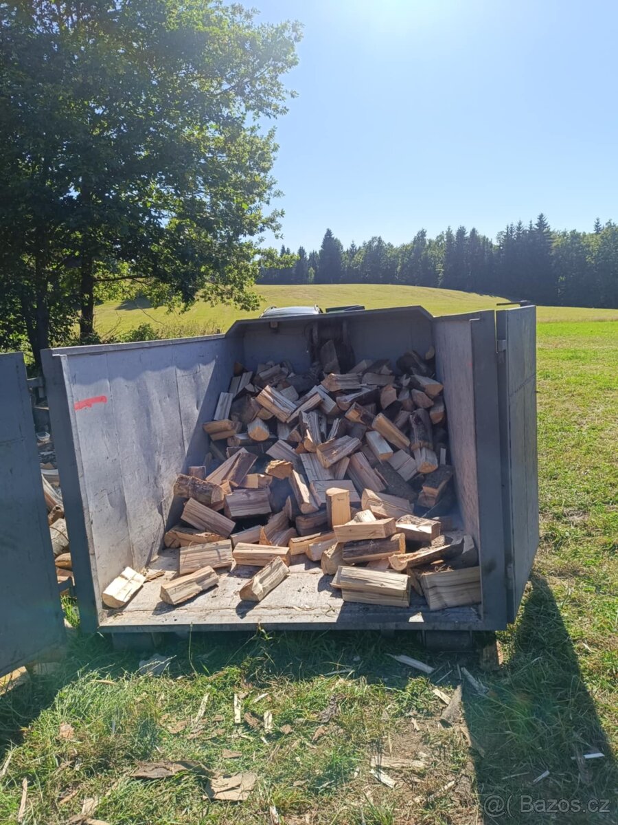 Dubové kůly a palivové dřevo - 5