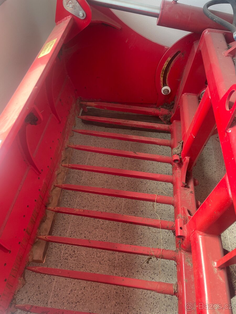 REDROCK ALLIGATOR - 5