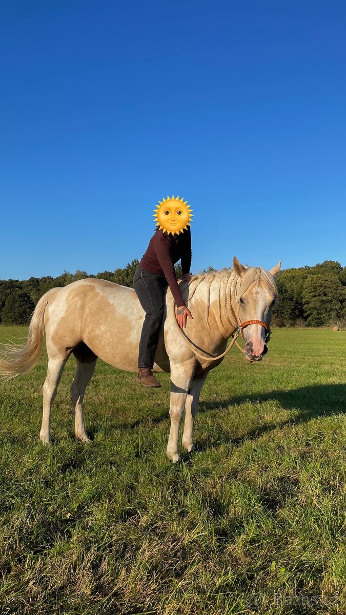 Desetiletá klisna APH - 5