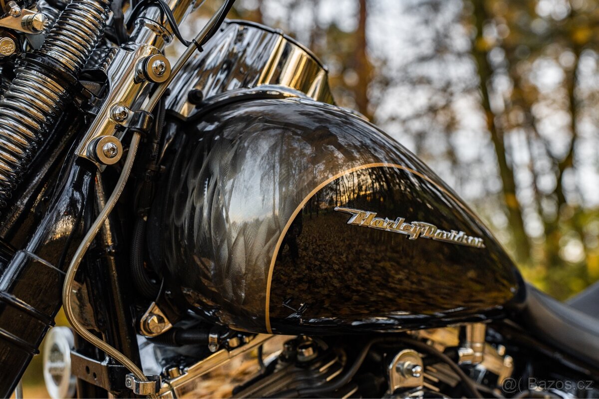 Harley - Davidson Springer CVO 110 - 5